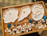 Large Shell Sensory Trays