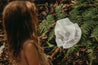 Butterfly Net