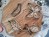 Lifecycle Sensory Trays