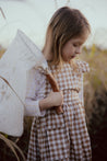 Butterfly Net