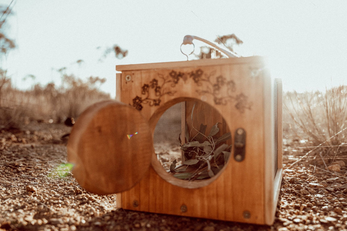 The Insect Home – Nestling and Nook