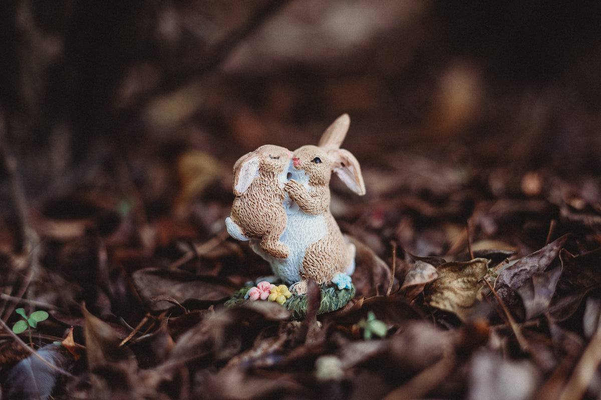Bunny Rabbits - Cuddles & Kisses – Nestling and Nook