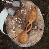 Handcrafted Daisy Spoon