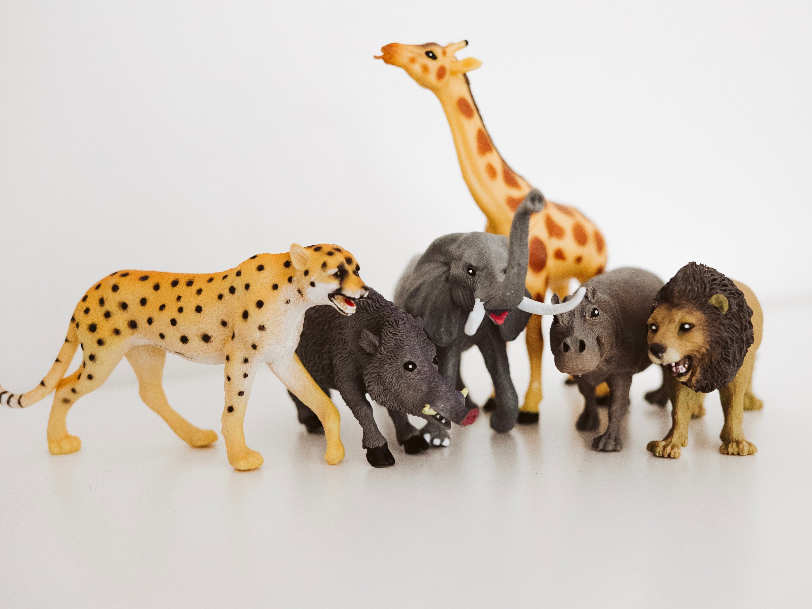 Wild republic african animals sale
