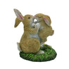 Bunny Rabbits - Cuddles & Kisses