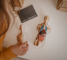 Human Body Anatomy Science Kit