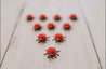 Jar of Little Ladybugs (10)