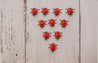Jar of Little Ladybugs (10)